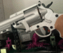 Police Seize Modified Shotgun and 3D Printer After Stolen Car Tracked to Notting Hill.