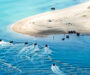 Cowley Beach Highlights Amphibious Integration in Talisman Sabre 2025