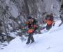 Tragic Discovery in Snowy Mountains Plane Crash Search